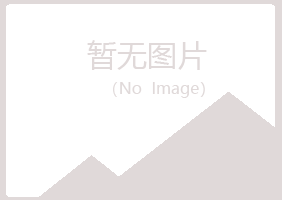 江山晓夏咨询有限公司